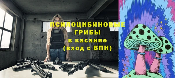 крисы Армянск