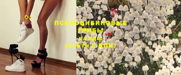 крисы Армянск