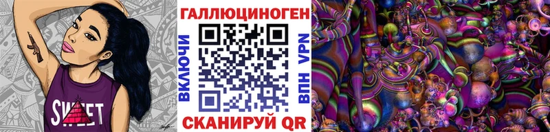 Купить  Игарка  Галлюциногенные грибы Cubensis 